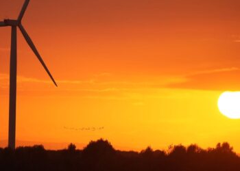 Xcel seeks 1.2 GW of new Minnesota wind resources to replace retiring coal plant